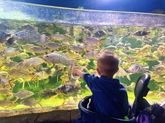 -多彩贵州城极地海洋世界