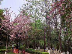 -西安汉城湖景区