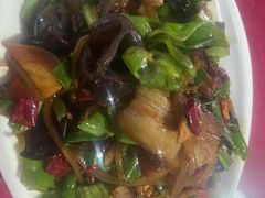 -照金特色农家乐
