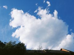 -蟒山国家森林公园天池停车场