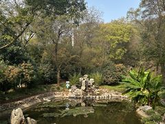 -南京老山国家森林公园