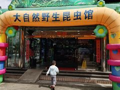 -上海大自然野生昆虫馆(东方明珠·爬宠昆虫探索中心)