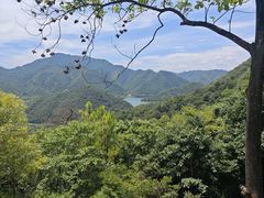 -富春桃源风景区