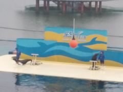 -秦皇岛乐岛海洋王国