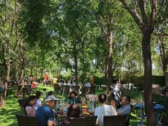 -尚庄度假村·庭台树下·户外烧烤·团建CS·轰趴营地(上庄水库店)
