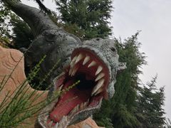 -青岛方特梦幻王国