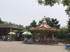 -大望京公园