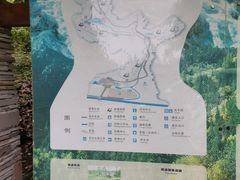 -都江堰中华大熊猫苑