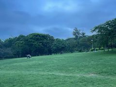-狮山公园