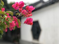 -广州神农草堂中医药博物馆