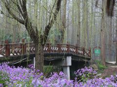 -崇明东平国家森林公园烧烤房车露营地