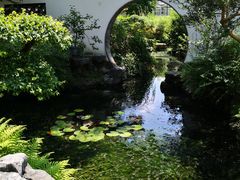 -上海醉白池公园
