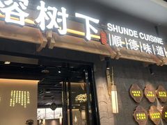 -大榕树下顺德菜(融创茂店)