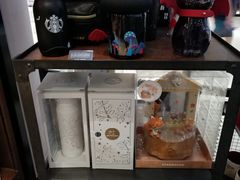 -星巴克(海口美兰机场分店)