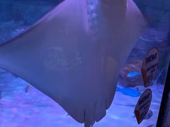 -沈阳海洋探索中心