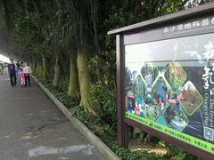 -大湾区中央湿地公园