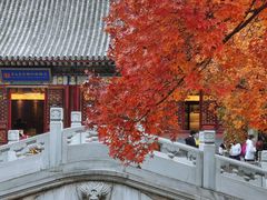 -香山公园