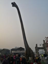 -恐龙探索乐园(磁器口店)