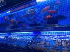 -五月罗马海鲜烤肉自助餐厅(印象城店)
