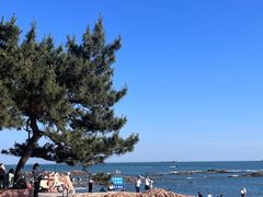 -青岛第一海水浴场