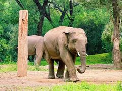 -北京野生动物园