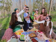 -合肥滨湖国家森林公园