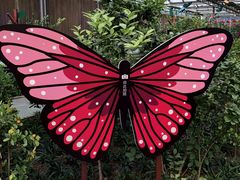 -南宫五洲植物乐园