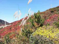 -山西壶关太行山大峡谷旅游景区