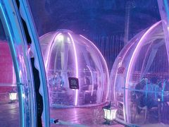 -南门四季铜锅涮肉(大屯·北苑店)