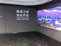 -上海中心大厦