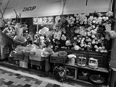-杂咖zacup(领展中心城店)