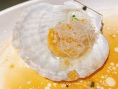 蒜蓉粉丝蒸元贝-强记海鲜·大排档(蛇口新街店)