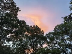 -杭州花家山庄