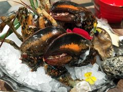 -蓝钻·国际美食海鲜自助百汇(西直门店)