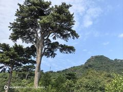 -妙峰山风景名胜区