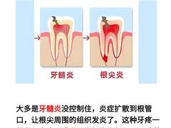 -上海市徐汇区口腔医院