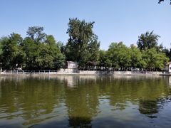 -莲湖公园