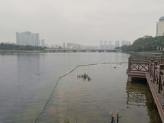 -南宁南湖公园