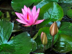 -北山街历史文化街区