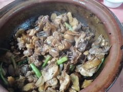 -天强农家菜馆