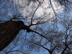 -红山公园