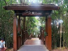 -三亚亚龙湾人间天堂鸟巢度假村