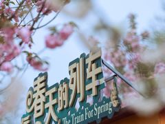 -南山植物园