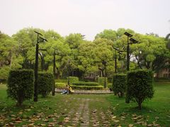 -中山大学学者灵芝(园南路店)