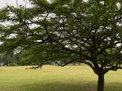 -华南国家植物园-售票处