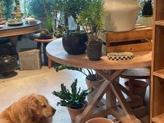 -自由生长植物工作室(深港花卉中心店)