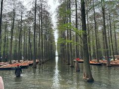-渌洋湖湿地公园