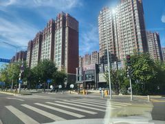 -万蔚·烤鸭