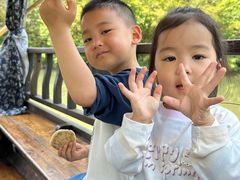 -溱湖国家湿地公园