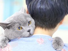 -北京观赏动物医院·24小时大型综合·猫专科·异宠专科
